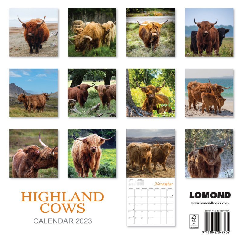 Zz 2023 Calendar Highland Cows 2for 8v OP 