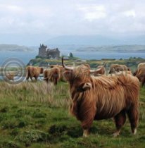 Highlanders At Duart Castle Colour Art Greetings Card