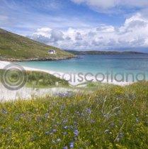 Vatersay, Outer Hebrides Colour Photo Greetings Card