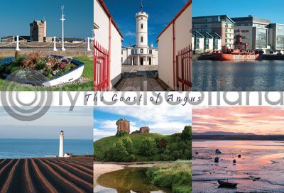 Coast of Angus Composite Postcard