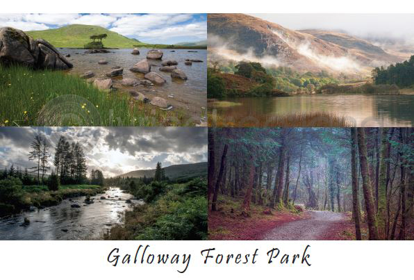 Galloway Forest Park Composite Postcard