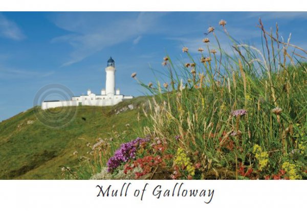 Mull of Galloway Postcard