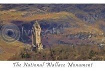 National Wallace Monument Landscape Postcard