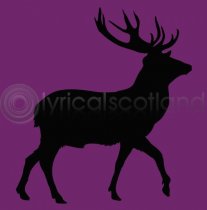 #stag Colour Art Greetings Card