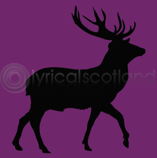 #stag Colour Art Greetings Card
