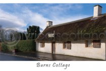 Burns Cottage Postcard