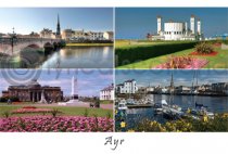 Ayr Composite Postcard