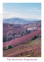 Cairngorms National Park, Highlands 2 Magnet