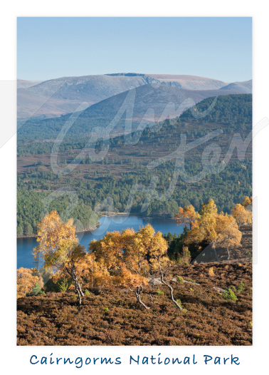Cairngorms National Park, Highlands 1 Magnet
