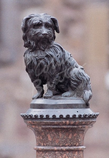 Greyfriars Bobby, Edinburgh Postcard