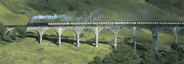 Glenfinnan Viaduct, West Highland Line Postcard