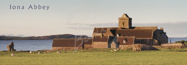 Iona Abbey Postcard