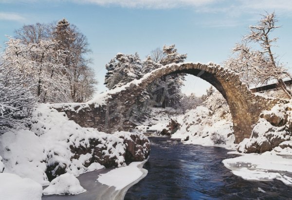 Carrbridge, Strathspey Postcard