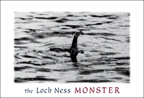 Loch Ness Monster Surgeons Photo Postcard