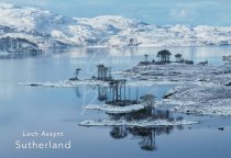 Loch Assynt, Sutherland Postcard