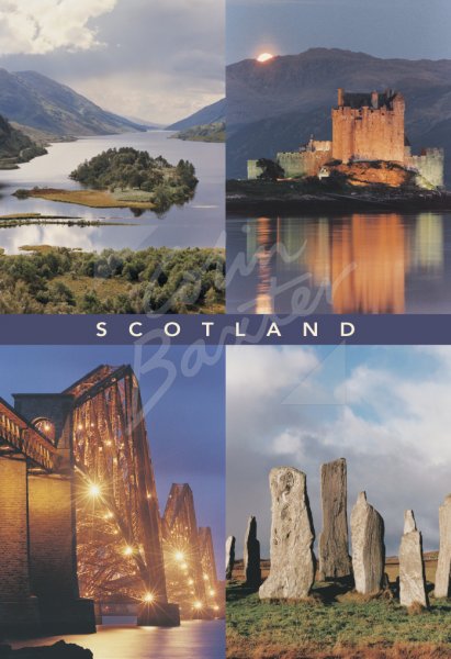 Scotland Comp Postcard