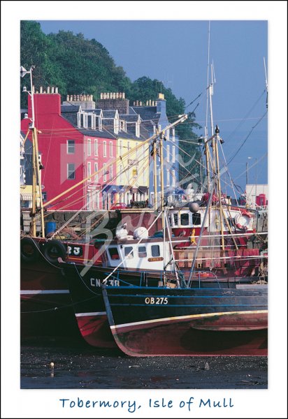 Tobermory, Isle of Mull Postcard