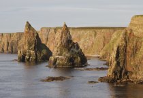 Stacks of Duncansby, Caithness Postcard