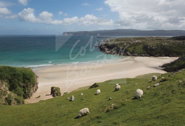 Traigh Allt Chailgeag, Sutherland Postcard