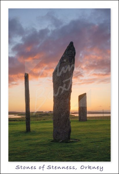Stones of Stenness, Mainland, Orkney Postcard