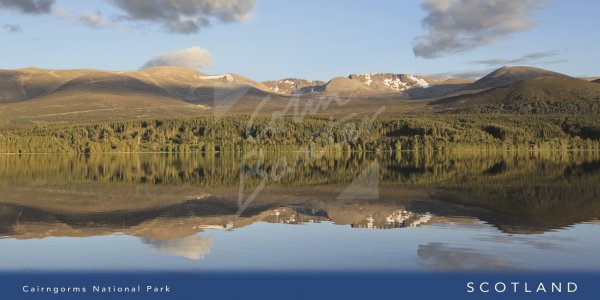 Cairngorm Mountains & Loch Morlich Postcard
