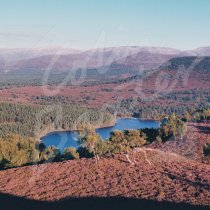 Cairngorms & Loch an Eilein, CNP Greetings Card