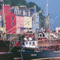 Tobermory, Isle of Mull Greetings Card