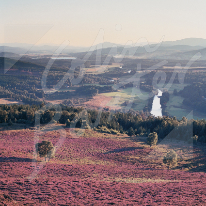 Strathspey, Cairngorms Greetings Card
