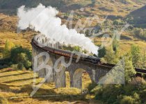 Glenfinnan Viaduct Magnet