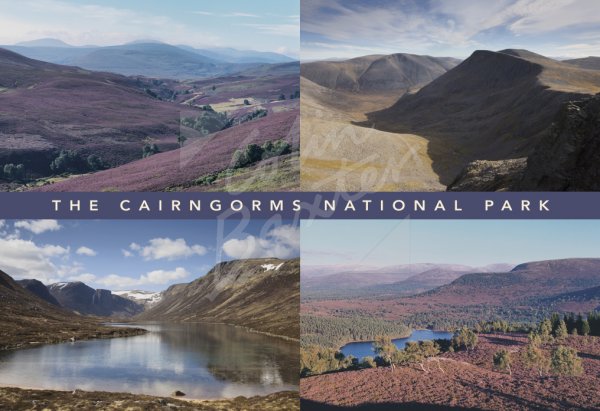 Cairngorms National Park Comp Postcard 1