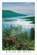 Kyles of Bute Postcard