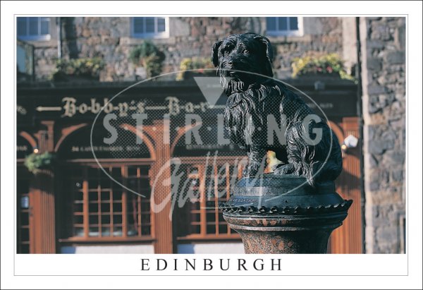Greyfriars Bobby - Edinburgh, Bobbys Bar Postcard