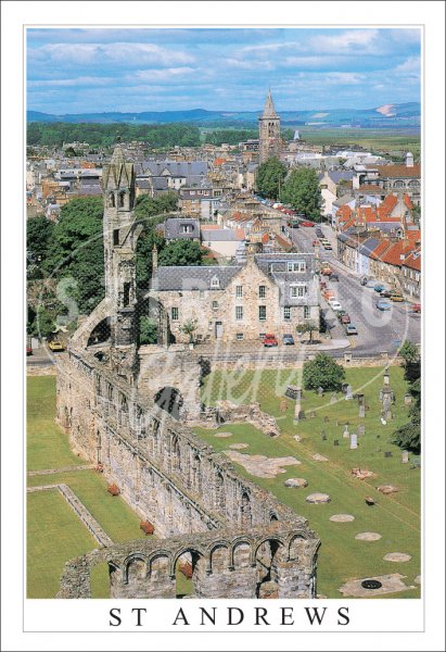 St Andrews Cathedral from Above, St Andrews Postcard