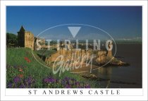 St Andrews Castle, Summer flowers Postcard