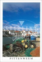 Pittenweem, Harbour Postcard