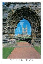 Arch View, Cathedral, St Andrews Postcard