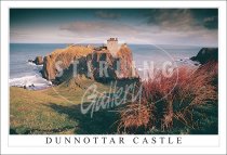 Dunnottar Castle, Evening Postcard