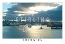 Aberdeen Harbour, Evening Light Postcard