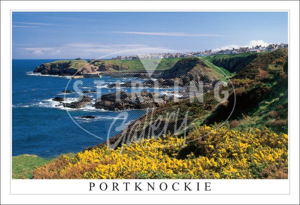 Portknockie Postcard