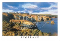 Cliffs & Stacks near Muchalls, Scotland Postcard