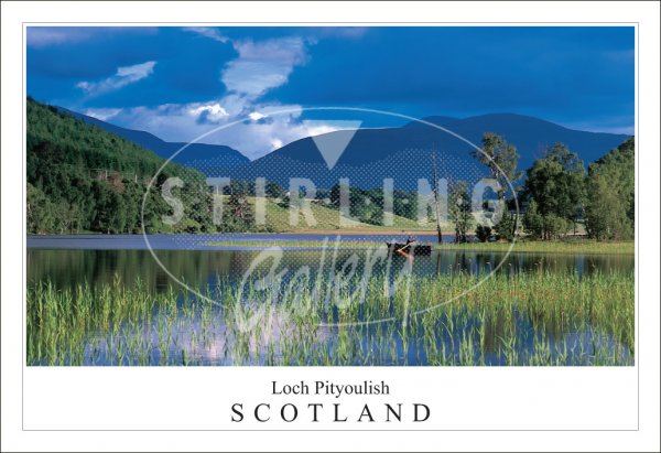 Loch Pityoulish - Scotland, Cairngorms Postcard