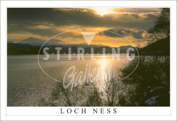 Loch Ness, Sunset dark Postcard