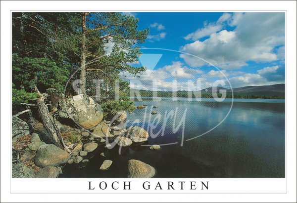 Loch Garten - Speyside Postcard