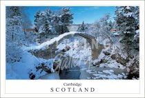 Carrbridge - Scotland, Snow Postcard