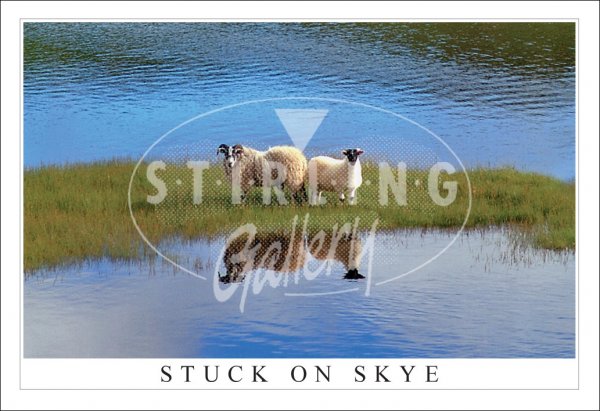 Stuck on Skye Postcard