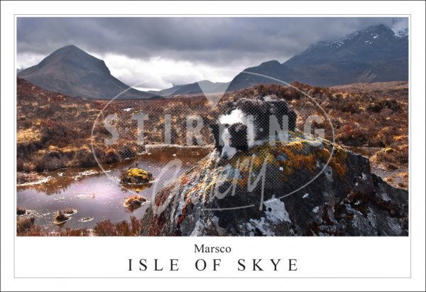 Marsco - Isle of Skye, Collie Postcard
