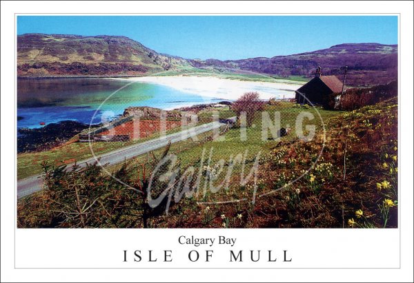 Calgary Bay, Springtime, Isle of Mull Postcard