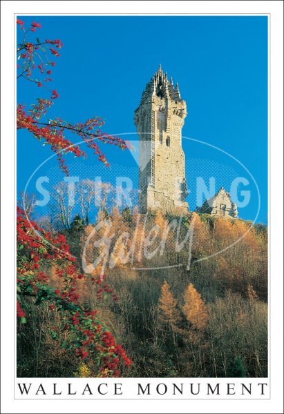 Wallace Monument, Autumn Postcard