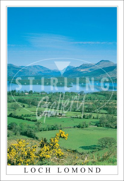 Loch Lomond, from Duncryne Hill Postcard