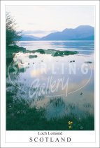 Loch Lomond - Scotland, Springtime Postcard